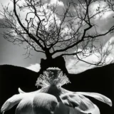 Merry Charisma Poster, Jerry Uelsmann 1968 Photography Print