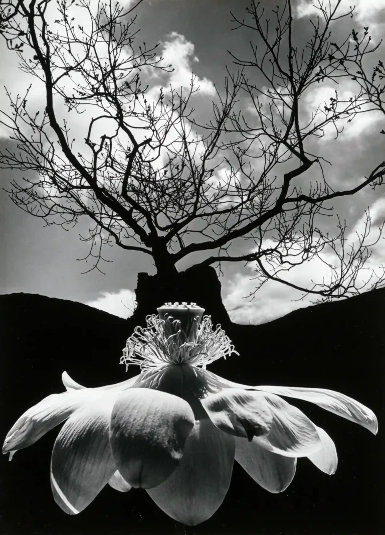 Clean artwork view of Merry Charisma Poster, Jerry Uelsmann 1968 Photography Print. Merry Charisma Poster carries its strength through subject and photographer rather than decorative exaggeration. The subject is Merry Charisma, a playful.