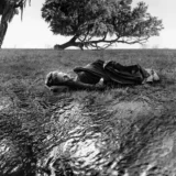 Jerry Uelsmann Untitled Sleeping at the Photography Print