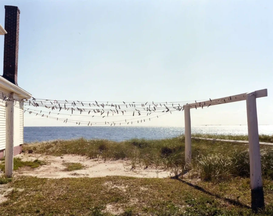 Joel Meyerowitz poster showing a Provincetown clothesline against coastal daylight.