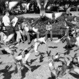 Lee Friedlander New Orleans 1975 Photography Print