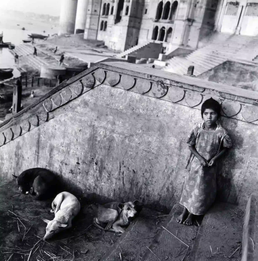 Girl with Dogs Benares India 1989 by Mary Ellen Mark — Girl Dogs Benares Photography Print