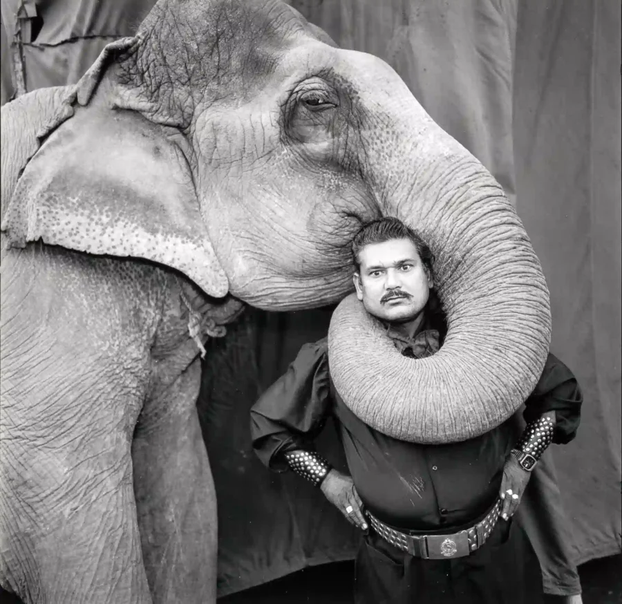 Ram Prakash Singh with His Elephant by Mary Ellen Mark — Ram Prakash Singh Photography Print