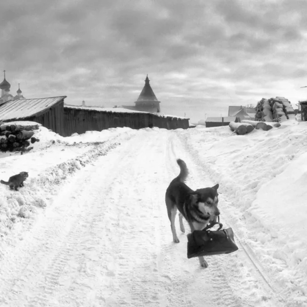 Pentti Sammallahti Solovki White Sea Russia 1992 Photography Print