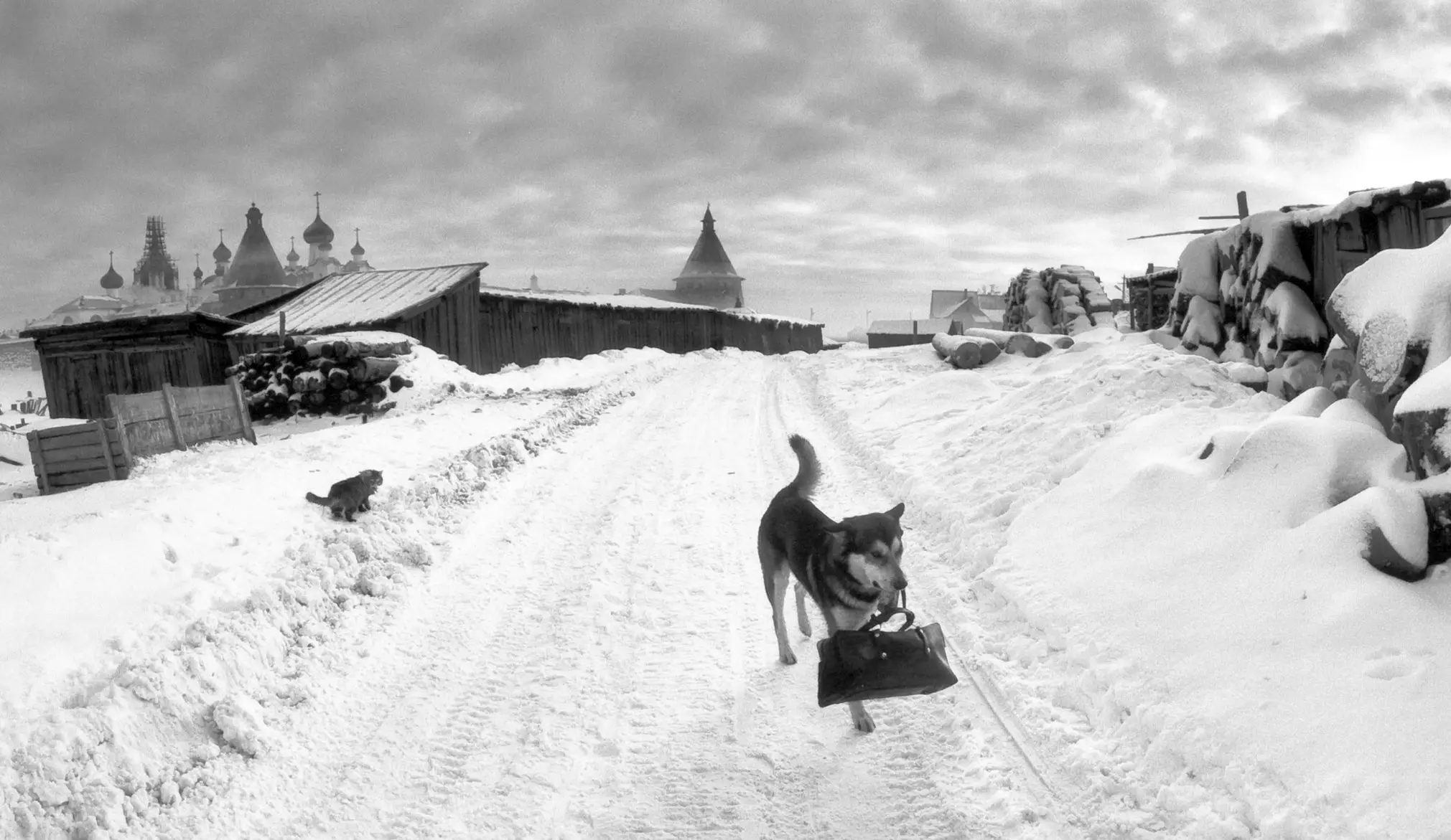 Pentti Sammallahti poster showing a quiet White Sea scene from Solovki, Russia.
