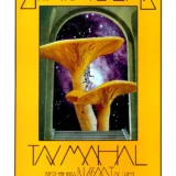 Grateful Dead, Taj Mahal 1970 Fillmore West Concert Poster