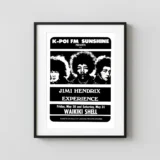 Jimi Hendrix Experience 1969 Honolulu, HI Concert Poster
