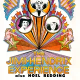 Jimi Hendrix Experience 1969 Syracuse, NY Concert Poster