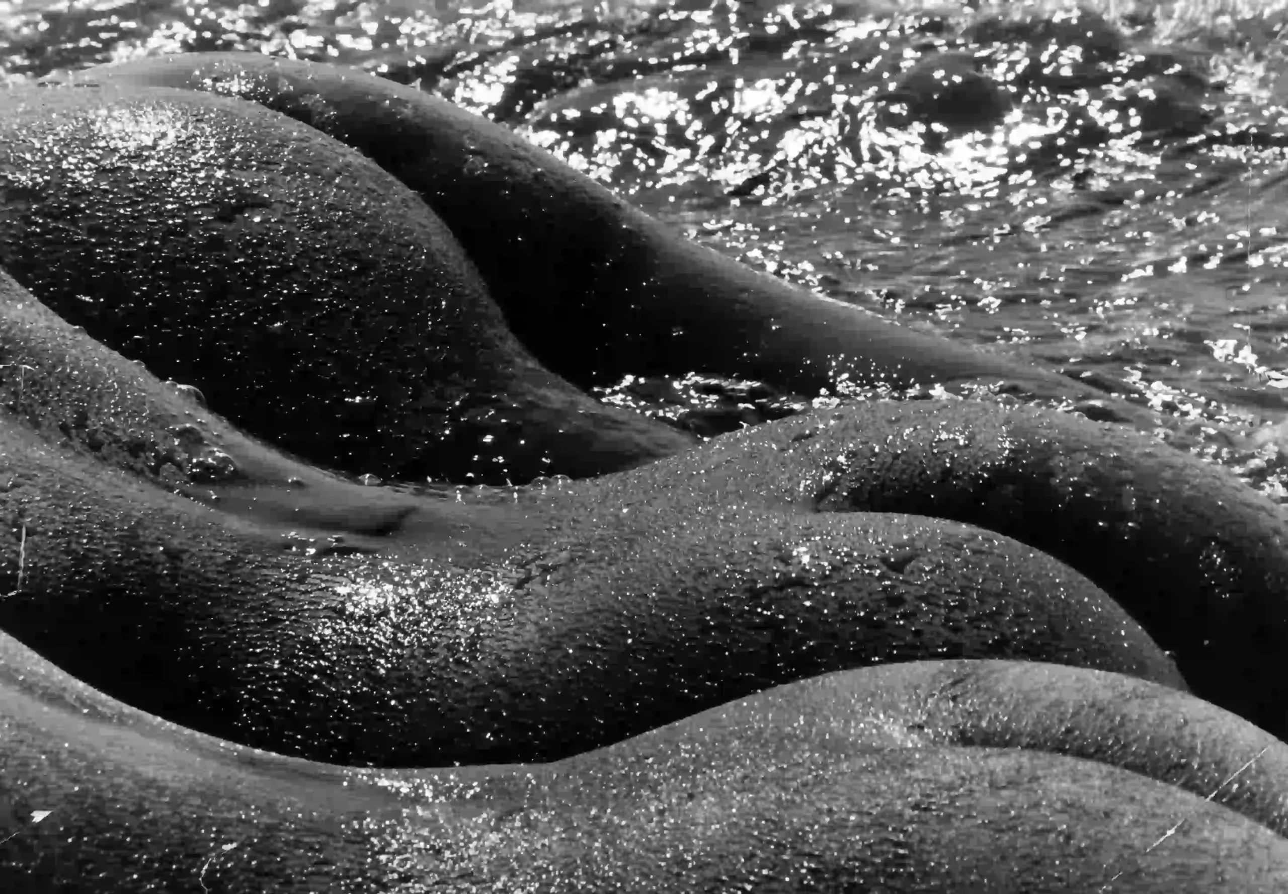 Les Geantes Gomarsgue 1978 Nude Photography Print