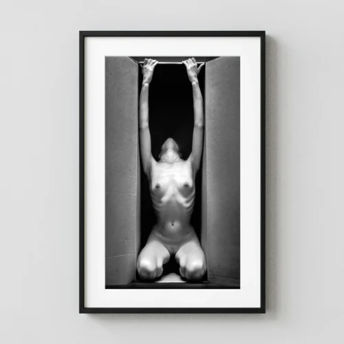 N The Box Vertical 1962 Nude Photography Print