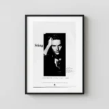 Nothing Like the Sun (a & M Records, 1987) Music Poster