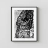 Nu Etoile Lieus Var Genese 102 1971 Photography Print