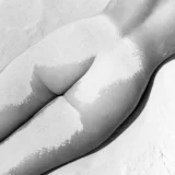 Nu Sable 1949 Photography Print