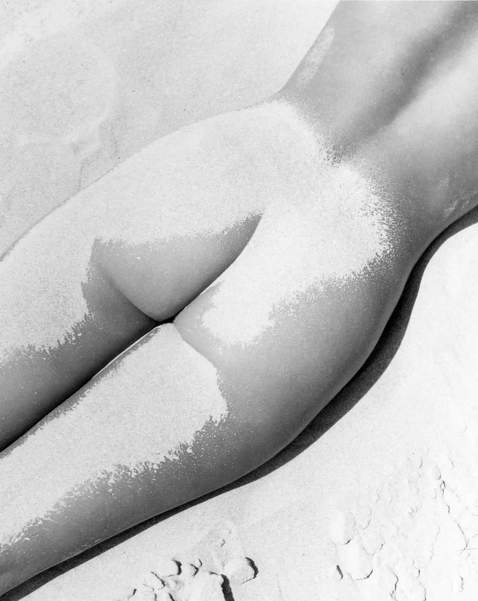 Nu Sable 1949 Photography Print