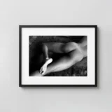 Nude Foot San Francisco 1947 Photography Print