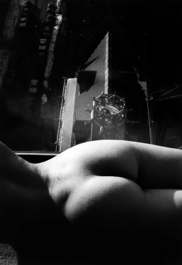 Reclining Nude in Interior Light 1977 Photography Print