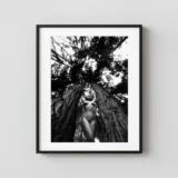 Nude In The Trees Carmel 1994 Photography Print