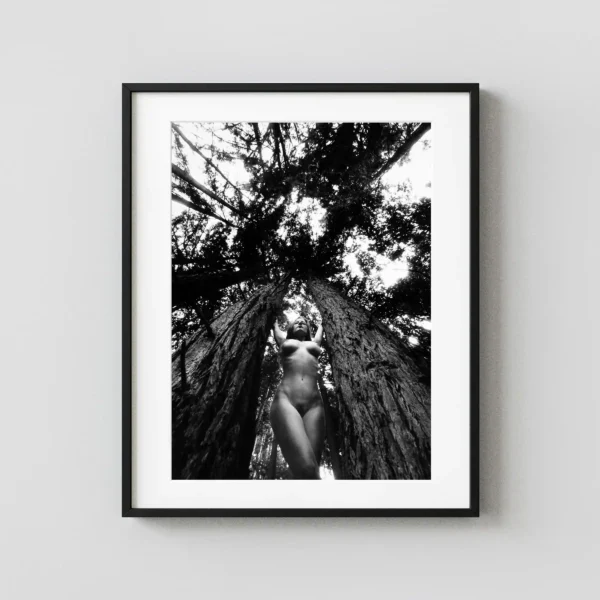 Nude In The Trees Carmel 1994 Photography Print