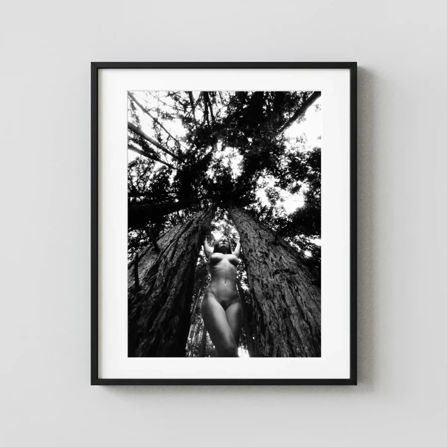 Nude In The Trees Carmel 1994 displayed as a framed wall mockup