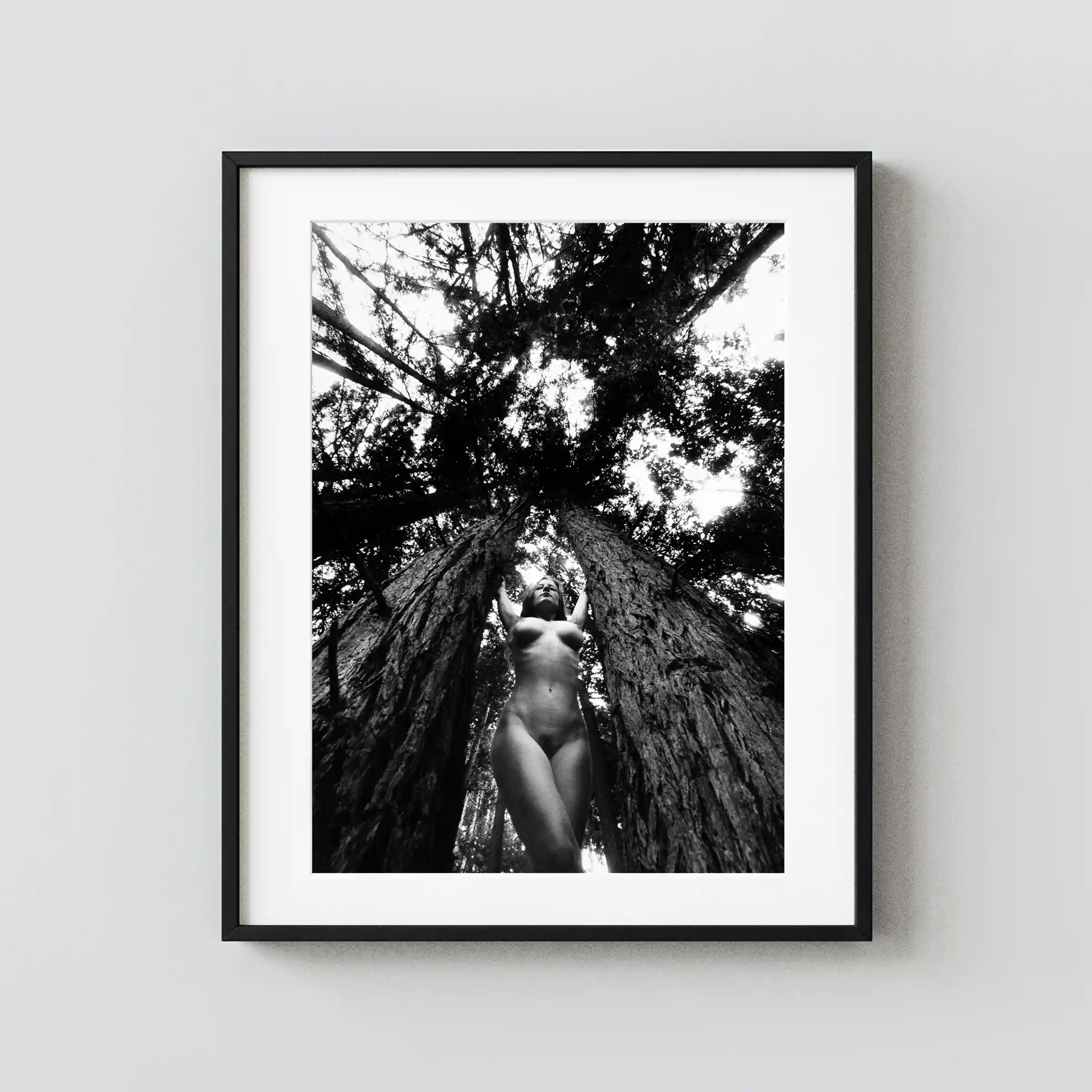 Nude In The Trees Carmel 1994 displayed as a framed wall mockup