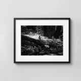 Nude On Log 1954 Photography Print