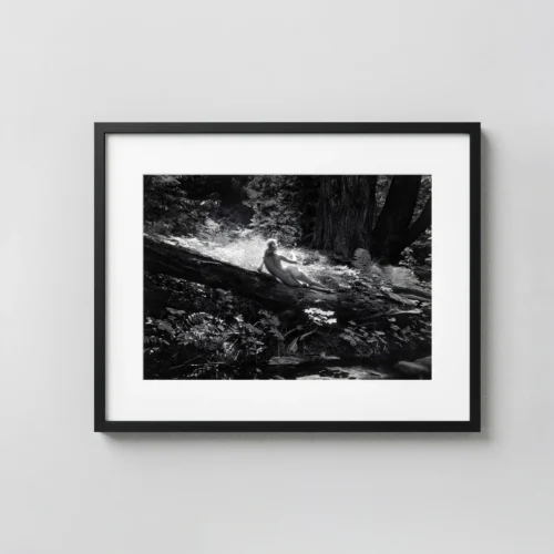 Nude On Log 1954 Photography Print