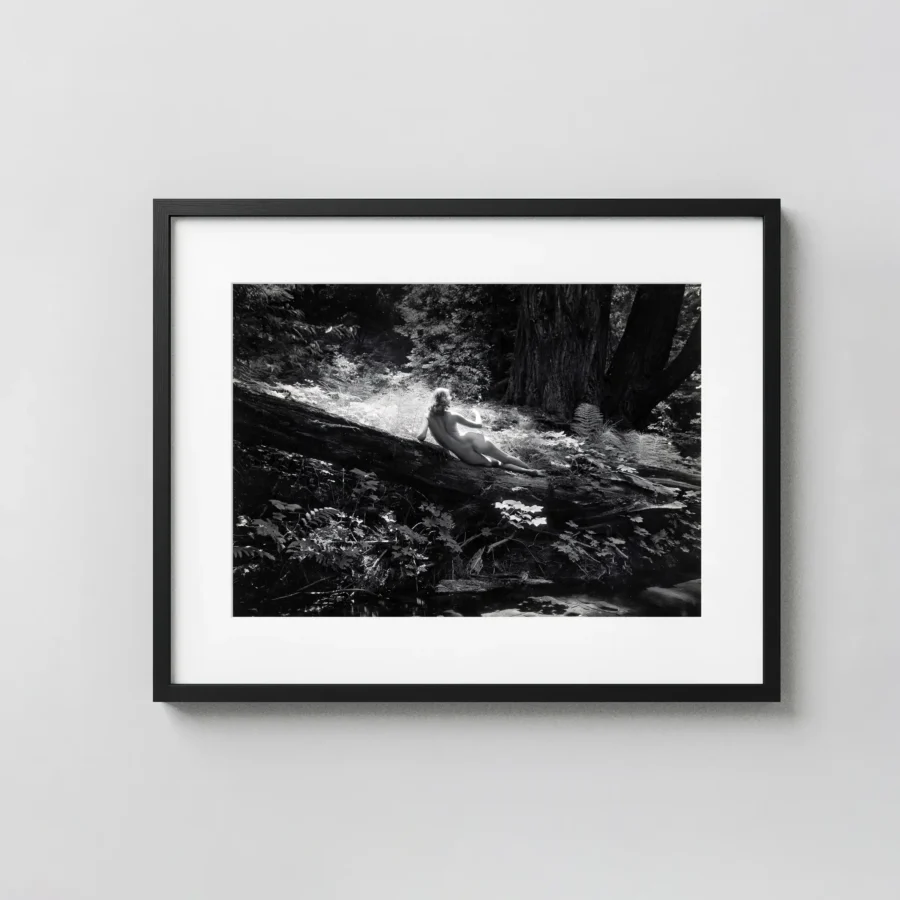 Nude On Log 1954 displayed as a framed wall mockup