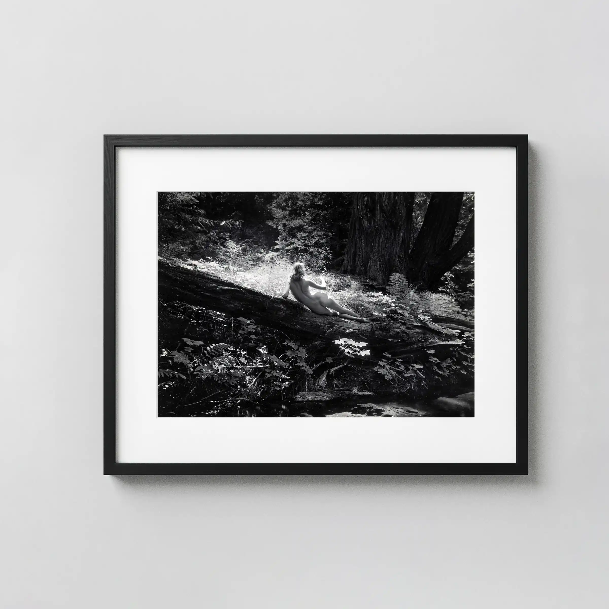 Nude On Log 1954 displayed as a framed wall mockup