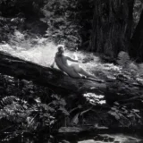 Nude On Log 1954 Photography Print