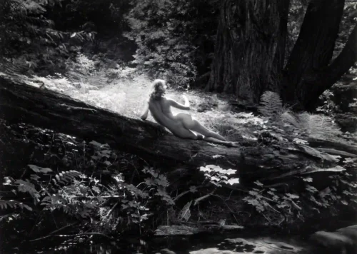 Nude On Log 1954 Photography Print