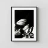 Nude With Shadows 1984 Photography Print
