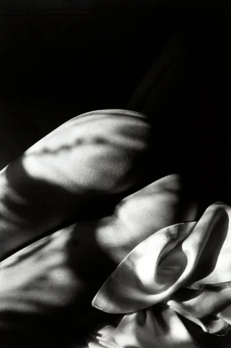 Nude With Shadows 1984 Photography Print