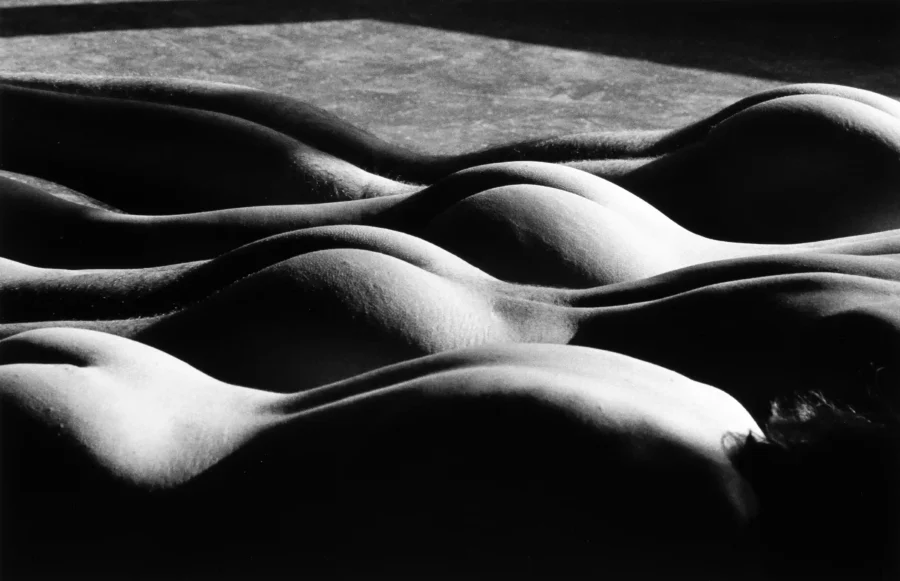 Layered Nudes in Shadow 1985 Photography Print