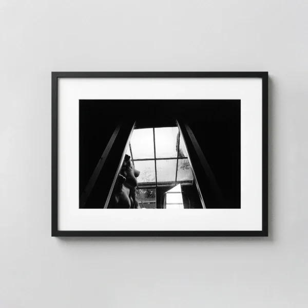 Plastic Love Dream Series 1983 View 1 Nude Photography Print
