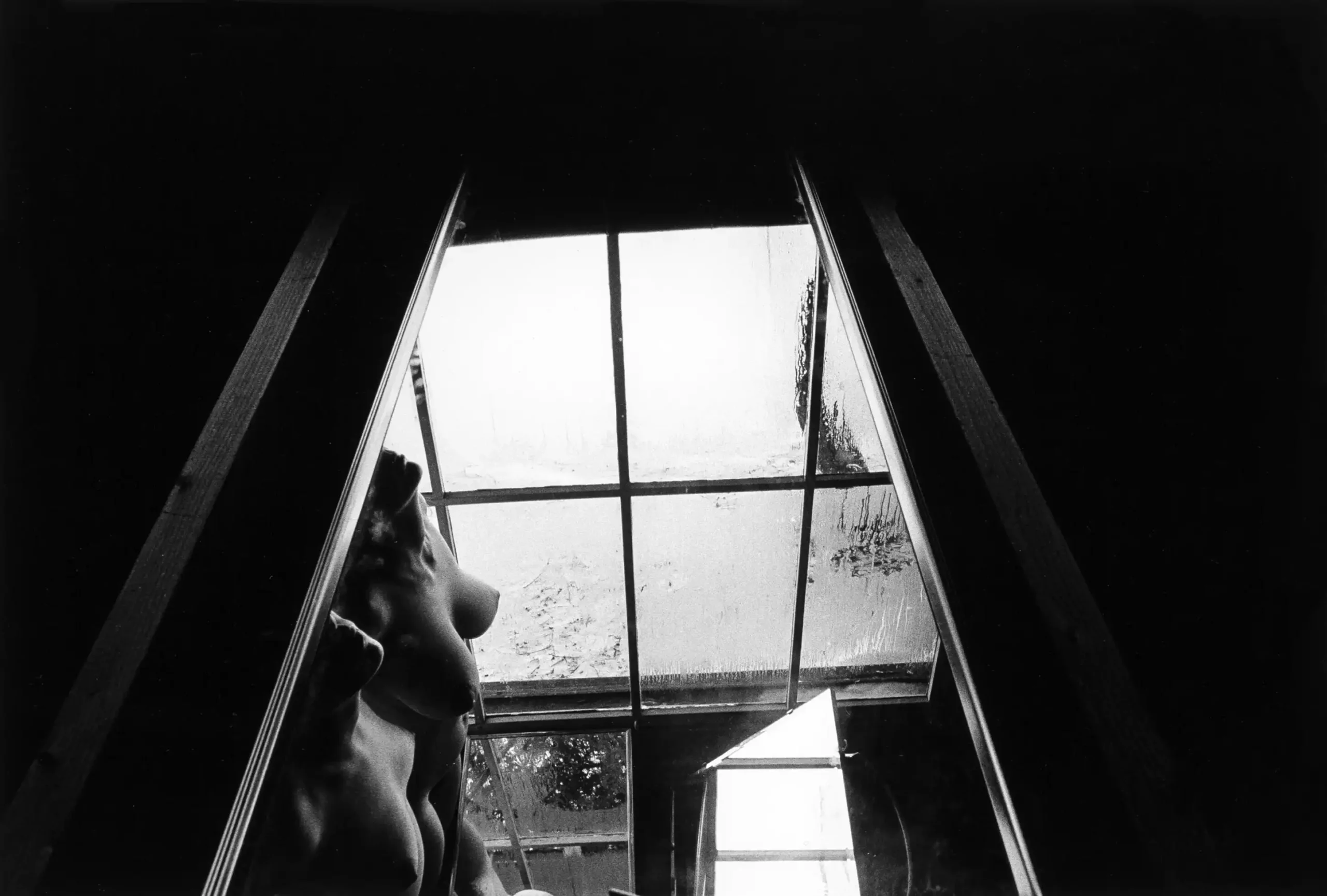 Plastic Love Dream Series 1983 View 1 Nude Photography Print