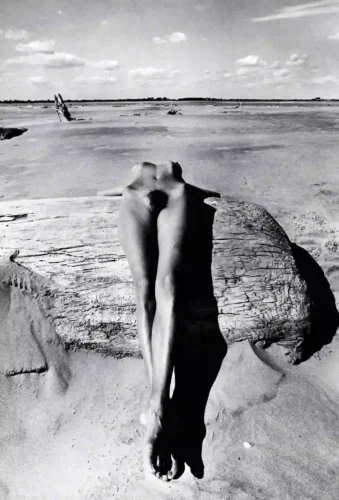 Reclining Nude Number 9 Circa 1963 Photography Print