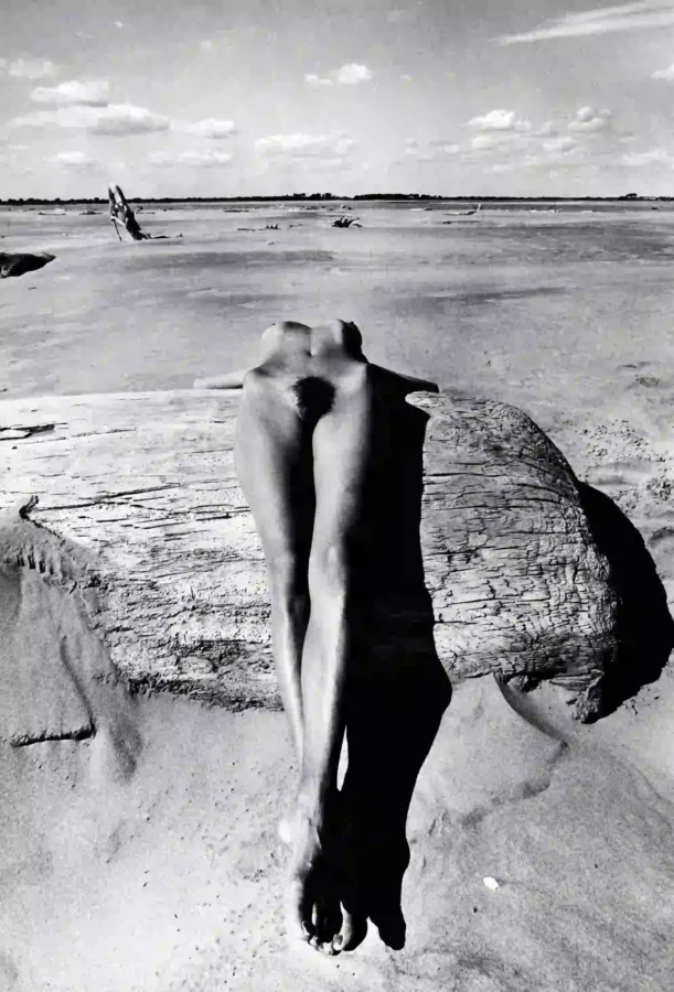 Reclining Nude Number 9 Circa 1963 Photography Print