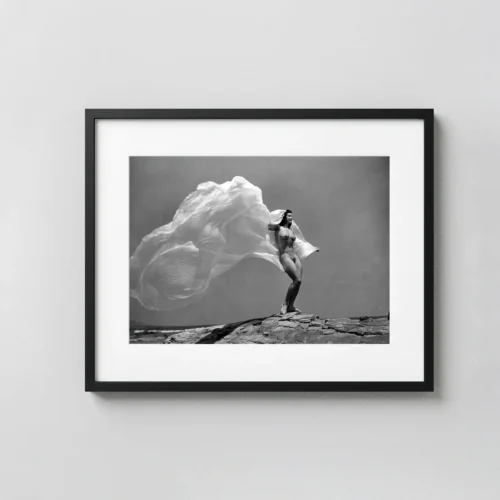 Sea Breeze with Billowing Fabric 1941 Nude Photography Print