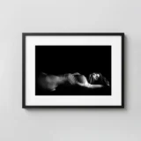 Silk 1968 Nude Photography Print