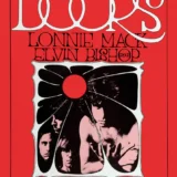 The Doors 1969 San Francisco Cow Palace Concert Poster