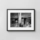The Woman And The Thistle 1953 Nude Photography Print