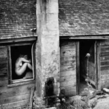 The Woman And The Thistle 1953 Nude Photography Print