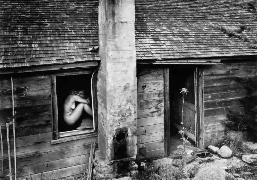 The Woman And The Thistle 1953 Nude Photography Print