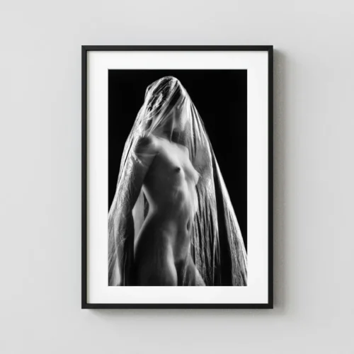 Transparent 1968 Nude Photography Print