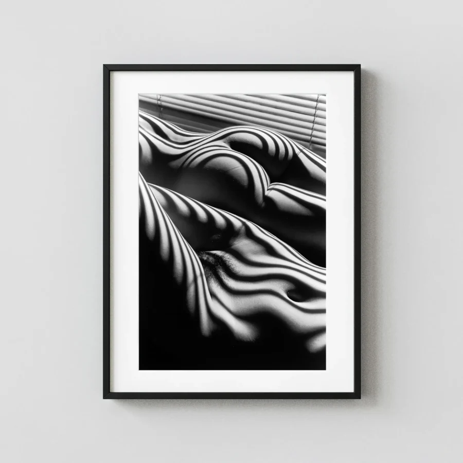 Two Zebra Nudes New York 2005 displayed as a framed wall mockup