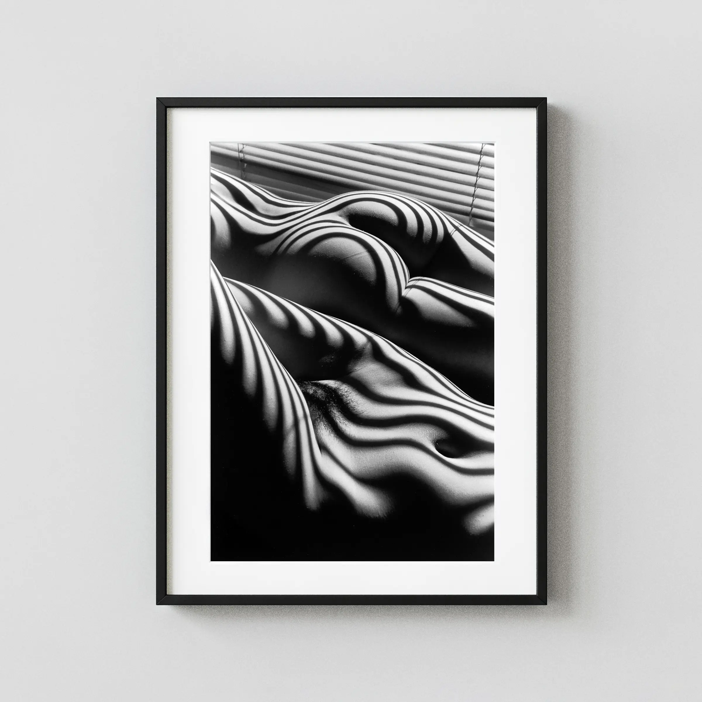 Two Zebra Nudes New York 2005 displayed as a framed wall mockup