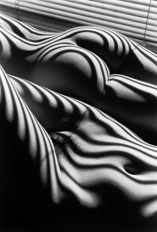 Two Zebra Nudes New York 2005 Photography Print
