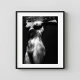 Underwater Nude 1980 Photography Print