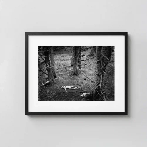 Woman And Dog In Forest 1953 Nude Photography Print