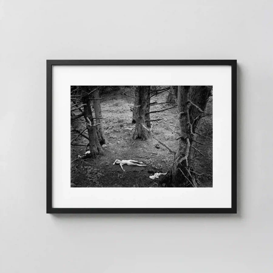 Woman And Dog In Forest 1953 Nude displayed as a framed wall mockup
